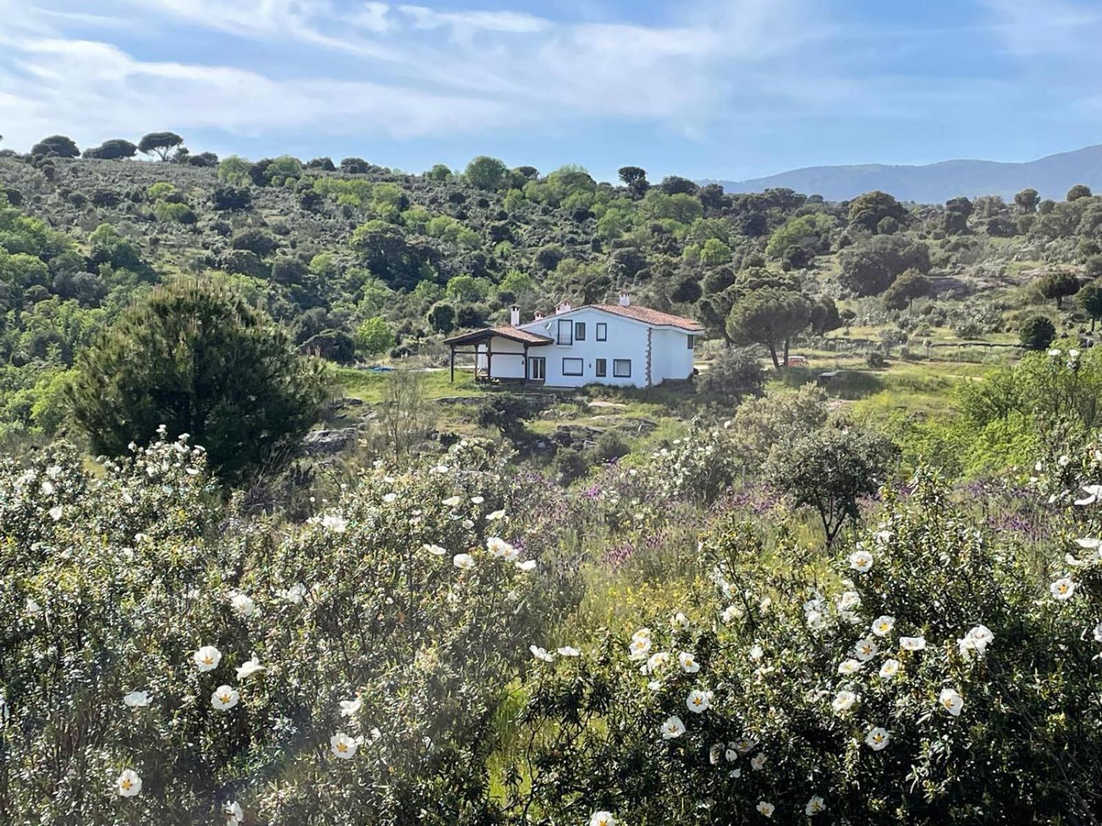 Finca Altair Madrid Eksteriør billede